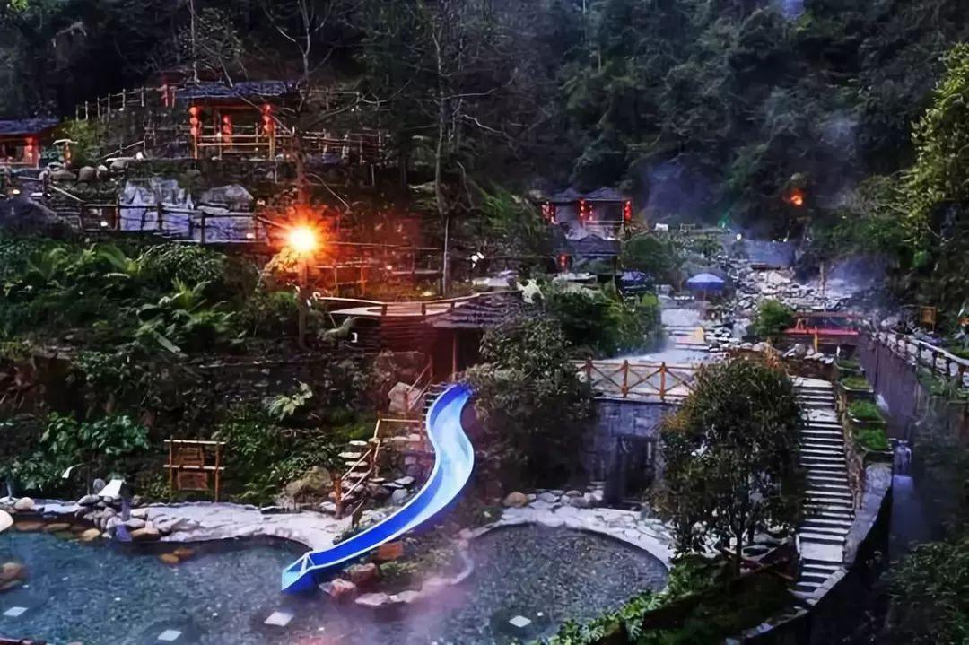 泡沫森林